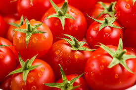 Зимовий помідор вже не сеньйор: розроблений бізнес-план тепличного комплексу по вирощуван